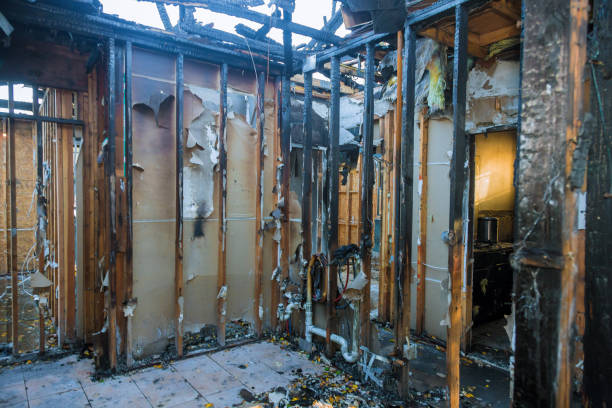 Professional Emergency Fire Cleanup technician working in Safety Harbor, FL