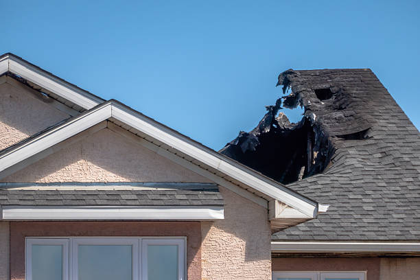 Top rated local Emergency Fire Cleanup specialists in Safety Harbor, FL